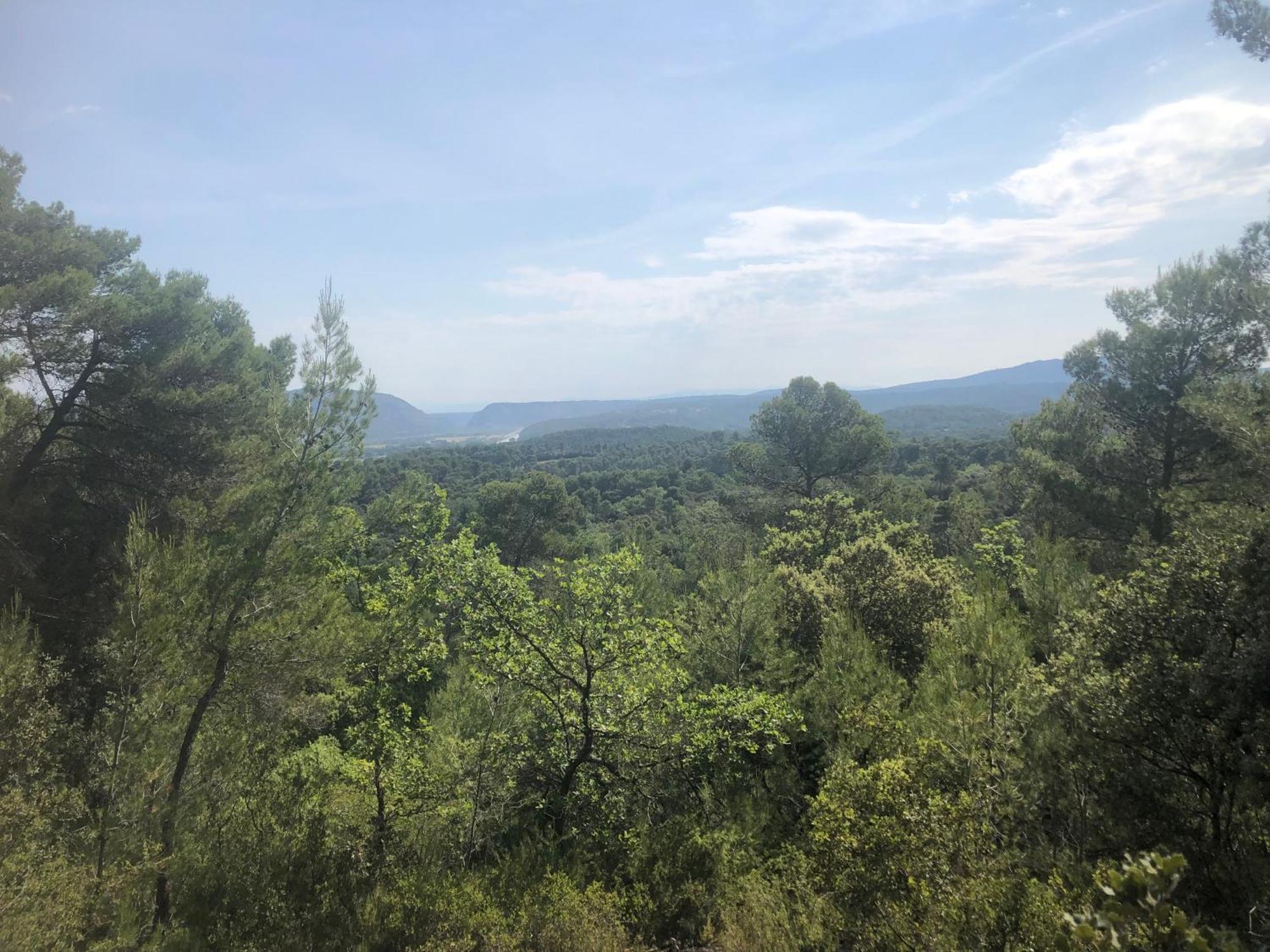 Les Lauriers De Joelle Peyrolles-en-Provence